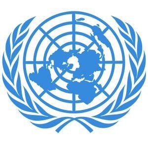 edsembli ycdsb stl|STL Model UN Success Story .
